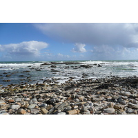 照片 南非(South Africa) 好望角(Cape of Good Hope) 开普角(Cape Point) 2008-09 75
