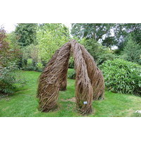 照片 英国(United Kingdom) 伯利庄园(Burghley House) 2011-07 9