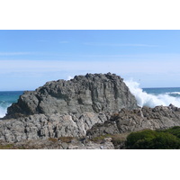 照片 南非(South Africa) 齐齐卡马国家公园(Tsitsikamma National Park) 2008-09 143