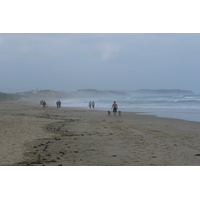 照片 南非(South Africa) 赫曼努斯至克尼斯纳公路(Harmanus to Knysna road) 2008-09 139