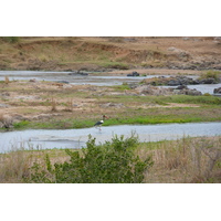 照片 南非(South Africa) 克鲁格国家公园(Kruger National Park) 鳄鱼河(Crocodile River) 2008-09 70