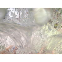 照片 阿联酋(United Arab Emirates) 迪拜(Dubai) 迪拜水世界(Dubai Aquaventure) 2012-01 3