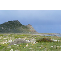 照片 南非(South Africa) 好望角(Cape of Good Hope) 开普角(Cape Point) 2008-09 71