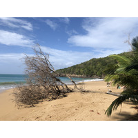 照片 瓜德罗普(Guadeloupe) 珍珠海滩(La Perle Beach) 2021-02 43