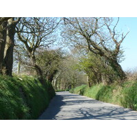 照片 泽西岛(Jersey) 2010-04 11