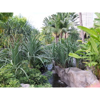照片 泰国(Thailand) 芭提雅(Pattaya) 盛泰乐酒店(Centara Hotel) 2011-12 64