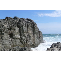照片 南非(South Africa) 齐齐卡马国家公园(Tsitsikamma National Park) 2008-09 446