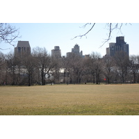 照片 美国(United States) 纽约(New York) 中央公园(Central Park) 2006-03 14
