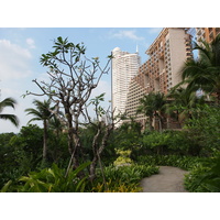 照片 泰国(Thailand) 芭提雅(Pattaya) 盛泰乐酒店(Centara Hotel) 2011-12 52
