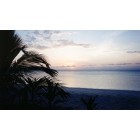 照片 马达加斯加(Madagascar) 圣玛丽岛(Sainte Marie) 1999-10 14