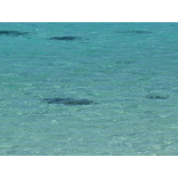 照片 新喀里多尼亚(New Caledonia) 利富岛(Lifou) 穆(Mu) 2010-05 8