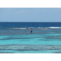照片 新喀里多尼亚(New Caledonia) 2010-05 128