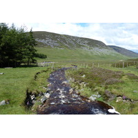 照片 英国(United Kingdom) 凯恩戈姆山国家公园(Cairngorms National Park) 2011-07 89