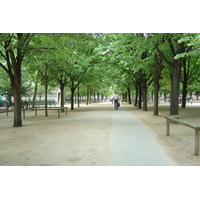 照片 法国(France) 巴黎(Paris) 卢森堡公园(Luxembourg Garden) 2007-04 173