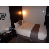 照片 日本(Japan) 东京(Tokyo) 东京新宿贝斯特韦斯特阿斯蒂娜酒店(Best Western Shinjuku Astina Hotel Tokyo) 2010-06 5