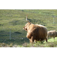 照片 英国(United Kingdom) 斯凯岛(Skye) 库林山脉(The Cuillin) 2011-07 90