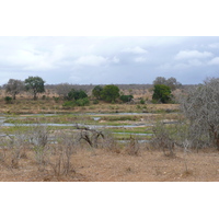 照片 南非(South Africa) 克鲁格国家公园(Kruger National Park) 鳄鱼河(Crocodile River) 2008-09 71