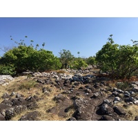照片 泰国(Thailand) 普欣隆卡国家公园(Phu Hin Rong Kla National Park) 2014-12 41