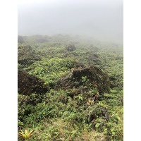 照片 瓜德罗普(Guadeloupe) 大苏弗里耶尔火山(La Grande Soufriere) 2021-02 47