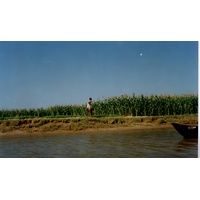 照片 越南(Vietnam) 1996-03 18