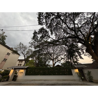 照片 泰国(Thailand) 清迈(Chiang Mai) 2024-12 139