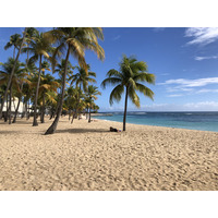 照片 瓜德罗普(Guadeloupe) 卡拉维尔海滩(La Caravelle Beach) 2021-02 153