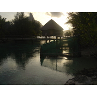 照片 波利尼西亚(Polynesia) 波拉波拉艾美酒店(Meridien Bora Bora Hotel) 2006-04 246