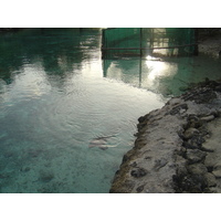 照片 波利尼西亚(Polynesia) 波拉波拉艾美酒店(Meridien Bora Bora Hotel) 2006-04 8