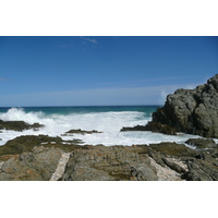 照片 南非(South Africa) 齐齐卡马国家公园(Tsitsikamma National Park) 2008-09 142