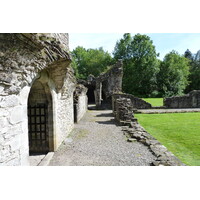 照片 英国(United Kingdom) 苏格兰(Scotland) 英奇马霍姆修道院(Inchmahome Priory) 2011-07 64
