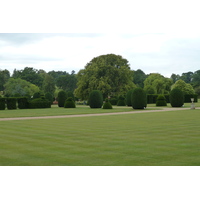 照片 英国(United Kingdom) 伯利庄园(Burghley House) 2011-07 13