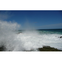 照片 南非(South Africa) 齐齐卡马国家公园(Tsitsikamma National Park) 2008-09 141