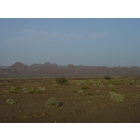 照片 阿曼(Oman) 布赖米至马哈达公路(Buraimi to Mahada road) 2005-03 24