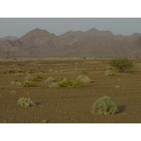 照片 阿曼(Oman) 布赖米至马哈达公路(Buraimi to Mahada road) 2005-03 19