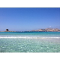 照片 意大利(Italy) 撒丁岛(Sardinia) 猎鹰角(Capo del Falcone) 2015-06 9