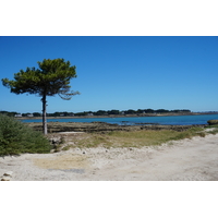 照片 法国(France) 滨海拉特里尼泰(La Trinite-sur-Mer) 2016-08 27