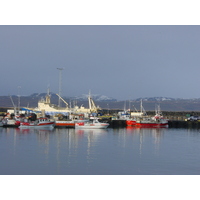 照片 冰岛(Iceland) 埃拉巴基(Eyrarbakki) 2003-03 8