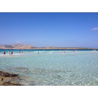 照片 意大利(Italy) 撒丁岛(Sardinia) 猎鹰角(Capo del Falcone) 2015-06 51