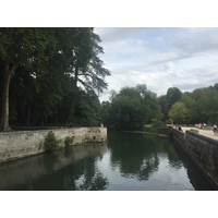 照片 法国(France) 阿宰勒里多城堡(Azay-le-Rideau Castle) 2017-08 50