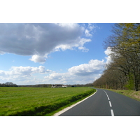 照片 法国(France) 昂布瓦斯(Amboise) 舍农索至昂布瓦斯公路(Chenonceau to Amboise road) 2008-04 12