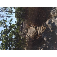 照片 泰国(Thailand) 普欣隆卡国家公园(Phu Hin Rong Kla National Park) 2014-12 12