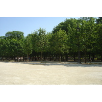 照片 法国(France) 巴黎(Paris) 杜乐丽花园(Garden of Tuileries) 2007-05 329