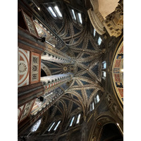 照片 意大利(Italy) 帕多瓦(Padua) 2022-05 150