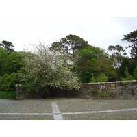 照片 爱尔兰(Ireland) 凯里郡(Kerry) 基拉尼国家公园(Killarney National Park) 马克罗斯庄园(Muckross House) 2004-05 43