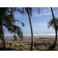 照片 哥斯达黎加(Costa Rica) 利蒙至锡基雷斯(Limon to Siquirres) 2015-03 8