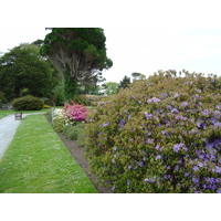 照片 爱尔兰(Ireland) 凯里郡(Kerry) 基拉尼国家公园(Killarney National Park) 马克罗斯庄园(Muckross House) 2004-05 6