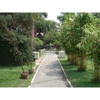 照片 泰国(Thailand) 清迈(Chiang Mai) 护城河内(Inside Canal) 布阿哈公园(Buak Had Park) 2006-04 5