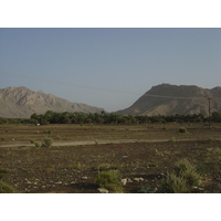 照片 阿曼(Oman) 布赖米至马哈达公路(Buraimi to Mahada road) 2005-03 45