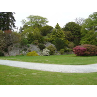 照片 爱尔兰(Ireland) 凯里郡(Kerry) 基拉尼国家公园(Killarney National Park) 马克罗斯庄园(Muckross House) 2004-05 7