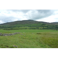 照片 英国(United Kingdom) 凯恩戈姆山国家公园(Cairngorms National Park) 2011-07 12